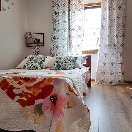 Ane Apartment
